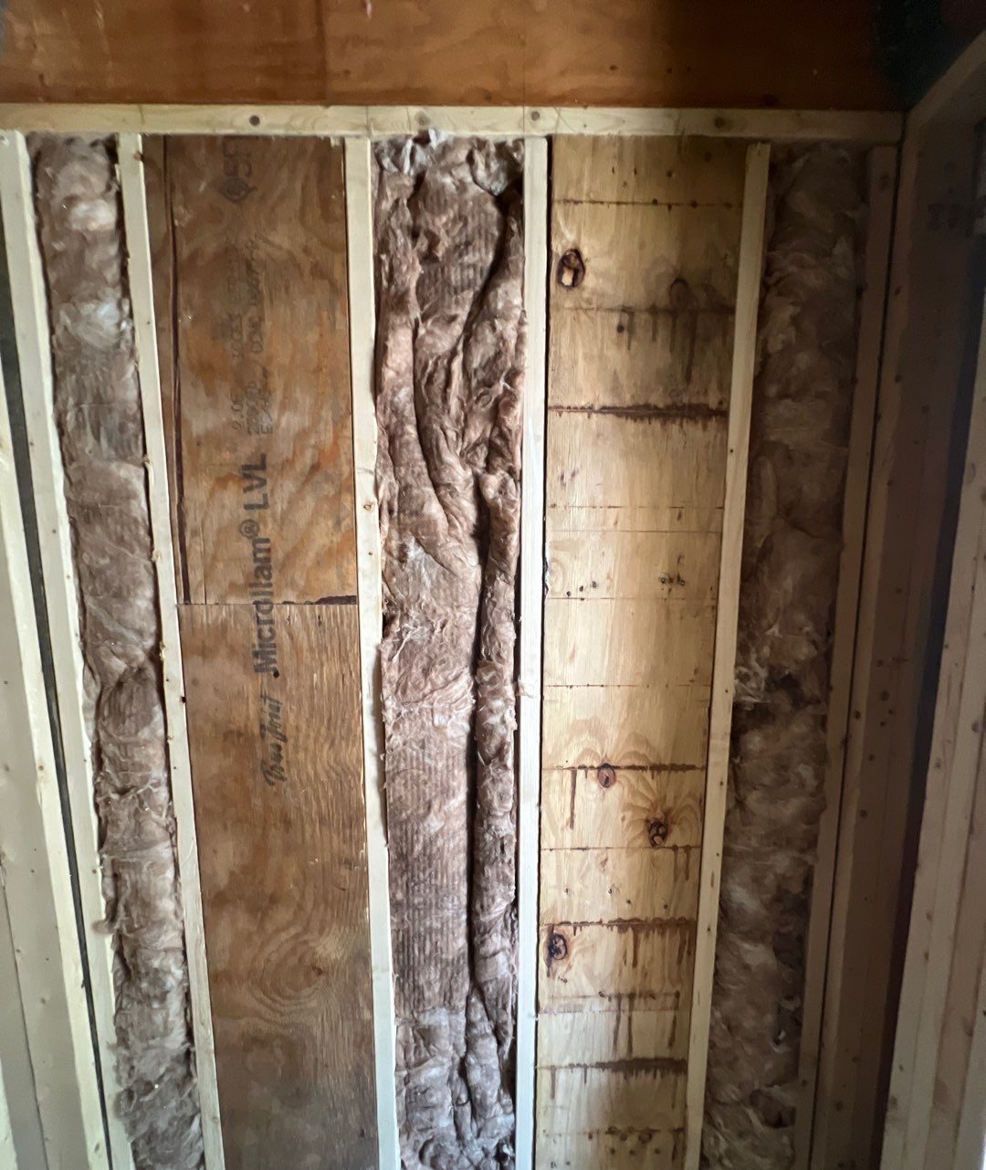 Vertical wall framing and plumbing inside the elevator chase in Oak Island, NC